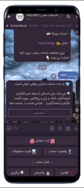 Example Image